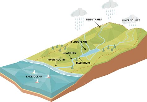 Components Of A Watershed Diagram