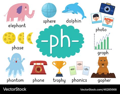 Ph Digraph Spelling Rule Educational Poster Set Vector Image