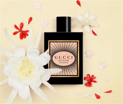 Gucci Bloom Eau De Parfum Intense Mcgoey Pharmacy