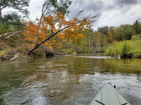 Michigan Kayak Trips The Pine River Offers Challenges Beautiful