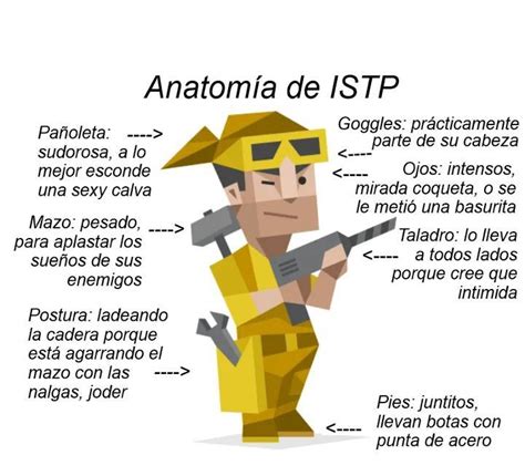 Pin De Valentino Varela En Mbti Tipos De Personalidad Anatom A