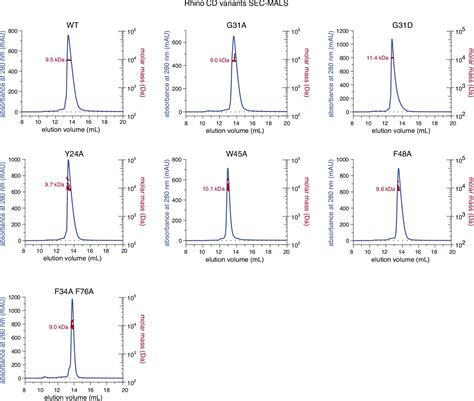 Figures And Data In Evolutionary Adaptation Of An Hp Protein