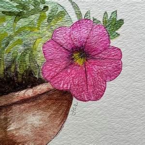 Pussy Willow Painting By Judith Rice Fine Art America