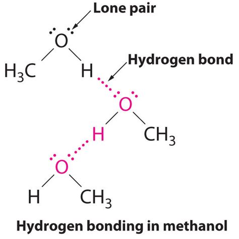 Intermolecular Forces Physical Properties Of Organic Compounds Mcc Organic Chemistry