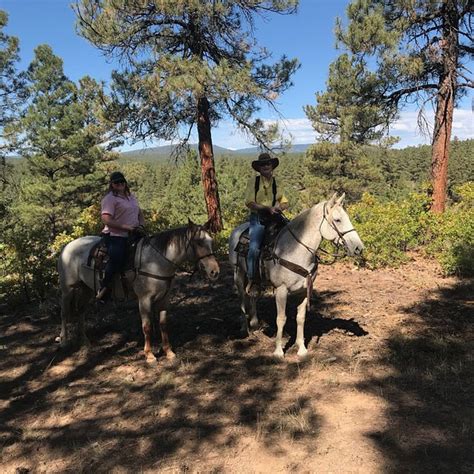 Rocky Mountain Wildlife Park Pagosa Springs All You Need To Know