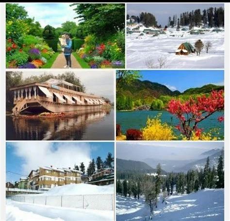 Shimla Kullu Manali Tour package at Rs 18000/person in Aurangabad | ID ...