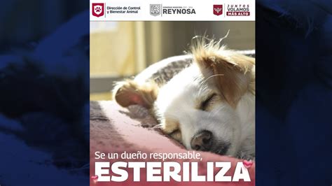 Notigape Garantiza Alcalde Carlos Peña Ortiz Atención Y Protección Animal