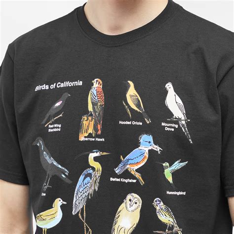 Stussy California Birds T Shirt Black END