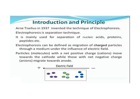 SOLUTION Electrophoresis Introduction Principle Factors Affecting