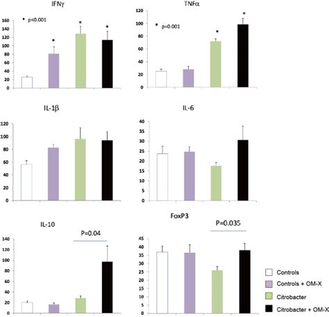 Expression Of Cytokine Genes In Colon Tissue Real Time Qpcr Relative