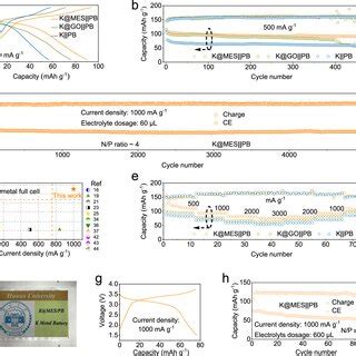 Electrochemical Performance Of K Pb Coin Cells With Kfsi