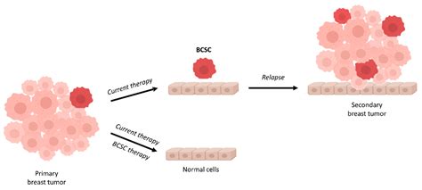 Targeting Breast Cancer Stem Cells To Overcome Treatment Resistance