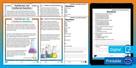 Fifth Grade Endothermic And Exothermic Reactions Reading Comprehension