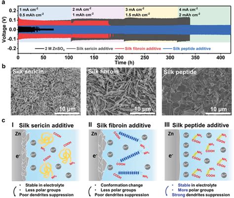 a) Rate performances of Zn‐Zn symmetric cells in 2 m ZnSO4 electrolytes ...