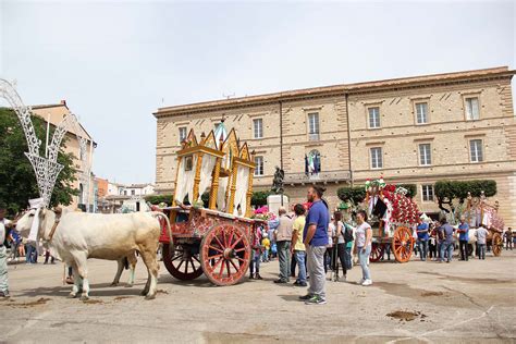 San Pardo A Larino Turismo In Molise