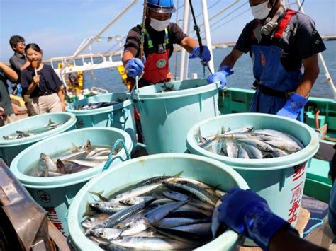 Oppos S Au Rejet De L Eau De Fukushima Des P Cheurs Portent Plainte