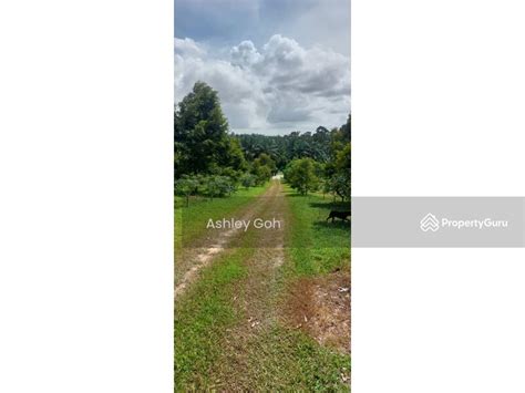 Acres Durian Farm Simpang Renggam Untuk Untuk Dijual Rm