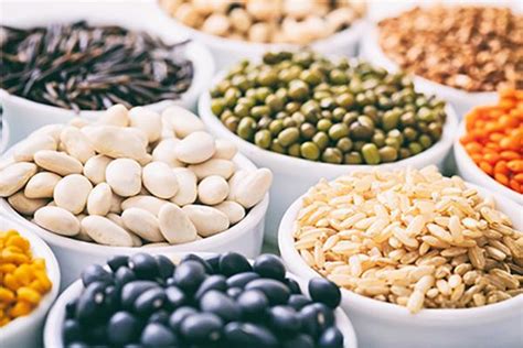 Crop productions and plant-based products - European Commission