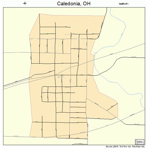 Caledonia Ohio Street Map 3910954