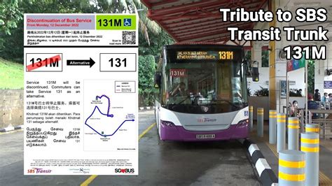 SBS Transit Trunk Bus Service 131M Tribute YouTube