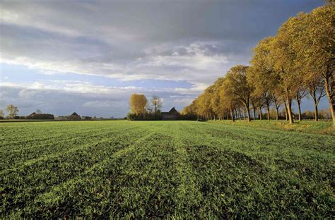 What Is Land? Definition in Business, Valuation, and Main Uses
