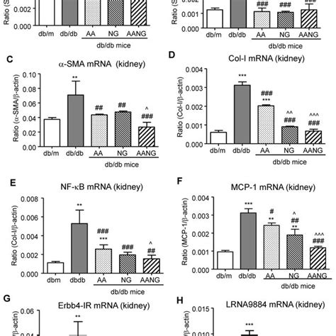 AANG Shows A Better Preventive Effect On Rebalancing Smad3 7 And