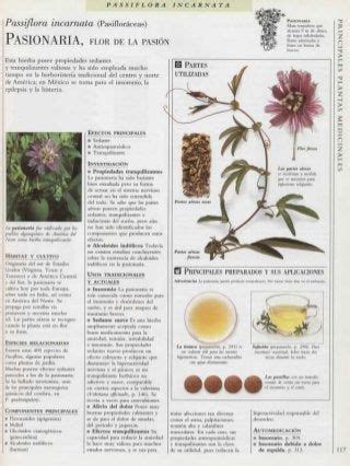 Manual Plantas Medicinales Artofit