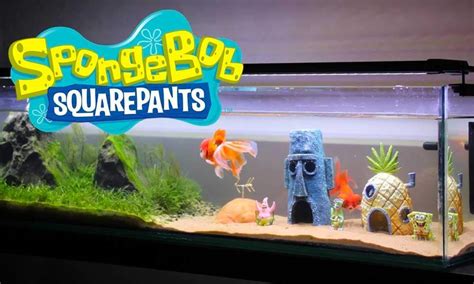 Top Spongebob Fish Tank Decorations And Setup Guide Love Fish Tank