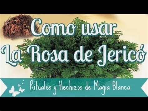 Abundancia Amor Y Plenitud LA ROSA DE JERICO PODEROSO TALISMAN PARA