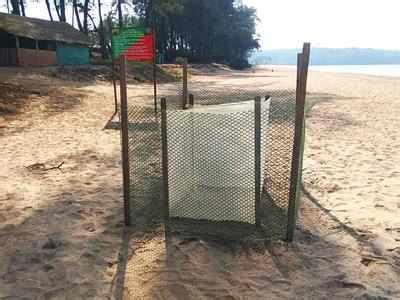 Tourism officials review facilities at Canacona beaches | Goa News - Times of India