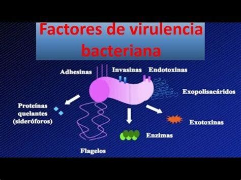 Microbiologia Mind Map