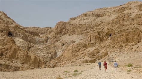 Rouleaux De Mer Morte Sur Laffichage Aux Cavernes De Qumran Ils