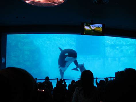 Victoria In Japan Land Nagoya Port Aquarium
