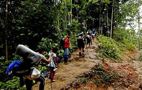 Más de 126 mil migrantes han cruzado la selva del Darién en 2024