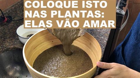 ADUBO CASEIRO FÁCIL DE FAZER receita para todas as plantas Adubo