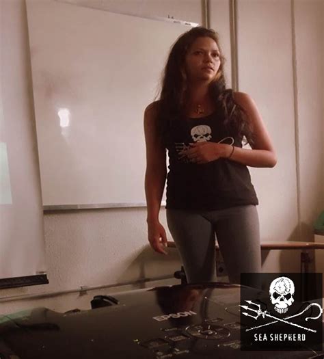 Sea Shepherd Brasil N Cleo Sp Faz Apresenta O Em Defesa Dos Tubar Es