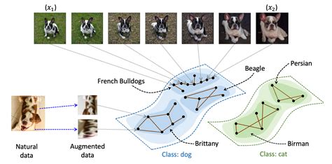 Understanding Deep Learning Algorithms That Leverage Unlabeled Data Part 2 Contrastive