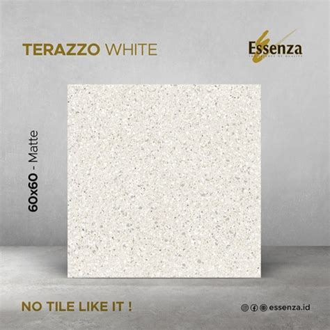 Jual Granit Essenza Terazzo White Grey 60x60 Unpolished Kota Bandung