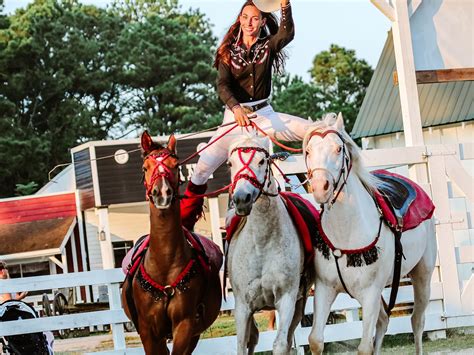Frontier Town Adventure Park Gallery