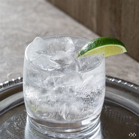 Gin And Tonic The Humble Garnish