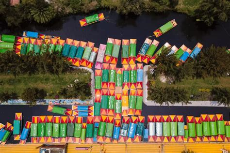 Qu Hacer En El Parque Ecol Gico De Xochimilco Etn