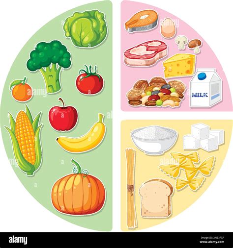 Main Food Groups Macronutrients Vector Illustration Stock Vector Image