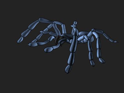 Spider Animations Tutorial - Page 1 - Animating Tutorials for Maya