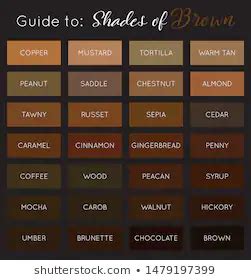 brown color chart stock illustrations color palette brown color