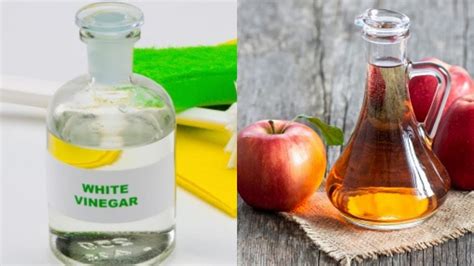 Vinagre blanco vs vinagre de manzana Cuál es el mejor para limpiar o