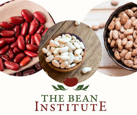 We Are The Resource For Bean Recipes And Information About Nutritional