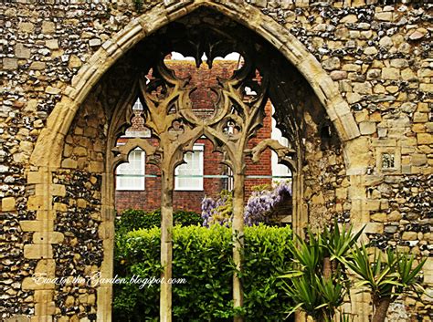 Ewa in the Garden: 20 photos of Canterbury Garden at the Cathedral – Wisteria, Fig and Nudity