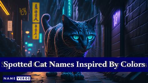 Spotted Cat Names: 220 Best Names For Your Spotted Cat