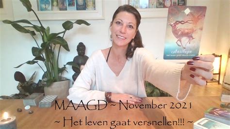 MAAGD November 2021 Het Leven Gaat Versnellen Tarot Reading