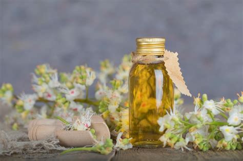 Premium Photo Glass Bottle Of Horse Chestnut Oil Extract Closeup